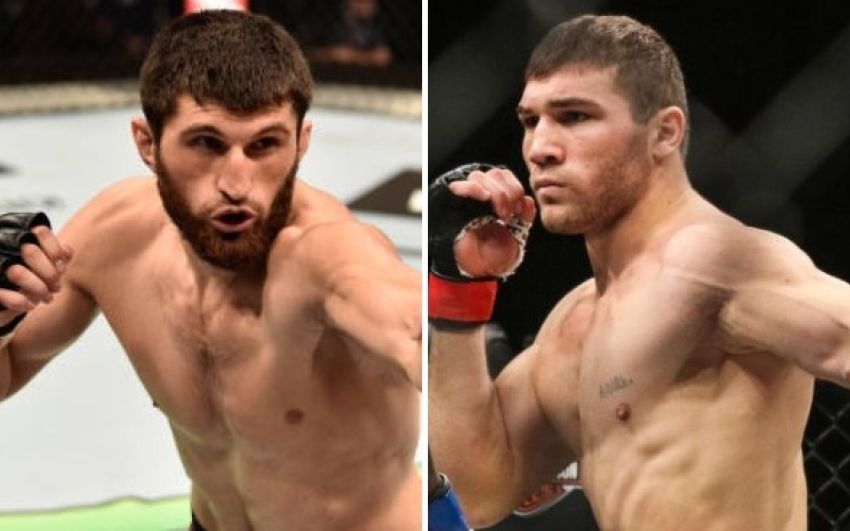 Магомед Анкалаев поделился мыслями насчет боя с Куцелабой 29-го февраля