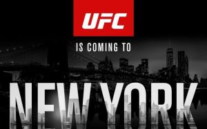 Видео: Обмен взглядами участников UFC 205
