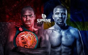 БК Fightnews.info. Тур 15. 20 мая 2018