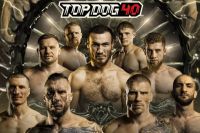 Прямая трансляция Top Dog 40