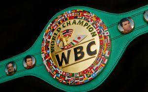 WBC огласили список номинантов на звание лучшего боксёра года