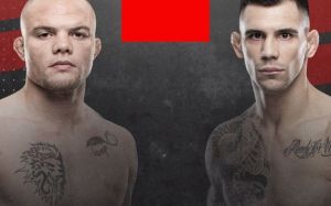 Ставки на UFC on ESPN+ 33: Коэффициенты букмекеров на турнир Энтони Смит - Александр Ракич