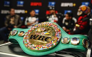В WBC намерены снизить обязательные взносы для бойцов