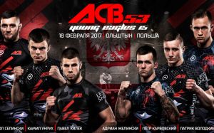 Файткард ACB 53 