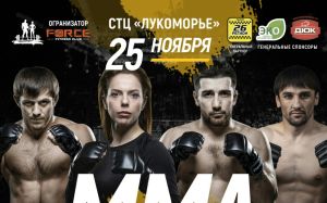 Профессиональный бои ММА в России.