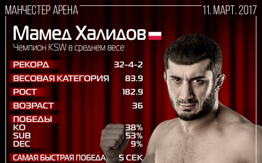 Инфографика Мамеда Халидова 