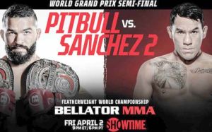 Bellator 255. Смотреть онлайн прямой эфир