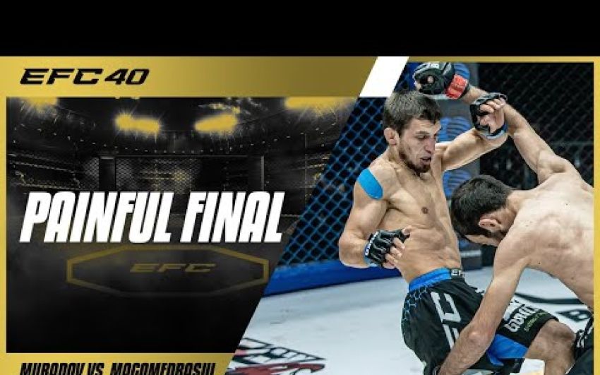 Видео боя Магомедрасул Шейхмагомедов – Мавлид Мурадов EFC 40