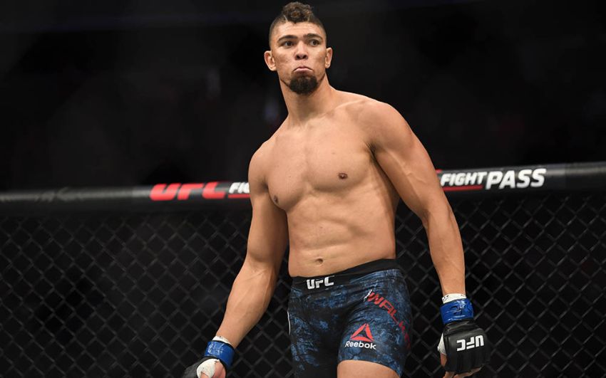 Бонусы турнира UFC 235: Джон Джонс - Энтони Смит