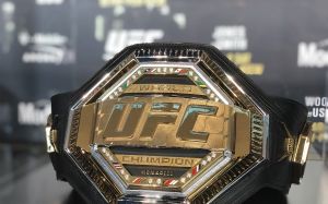 Рейтинг бойцов UFC за октябрь 2019 года