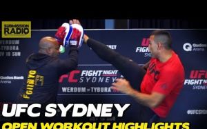 Бойцы провели открытую тренировку перед турниром UFC Fight Night 121