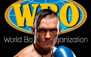 Всемирная боксерская организация (WBO) обнародовала свои обновленные рейтинги во всех 17-ти весовых категориях. 