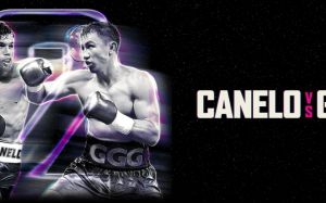 БК Fightnews.info. Тур 26. 15-16 сентября 2018