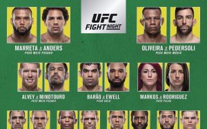 Результаты турнира UFC Fight Night 137
