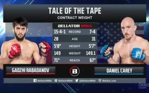 Видео боя Дэниел Кэри — Гаджи Рабаданов Bellator 263