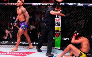 Результаты турнира UFC Fight Night 256