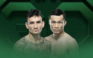 UFC Fight Night 225. Смотреть онлайн прямой эфир