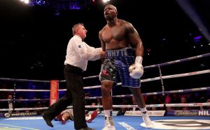 Президент WBC: "Я устал говорить о том, что Уайт - "временный" чемпион и обязательный претендент"