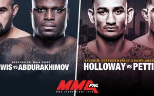 UFC Fight Night 102 и UFC 206: Интересные факты