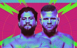 Прямая трансляция UFC Fight Night 239
