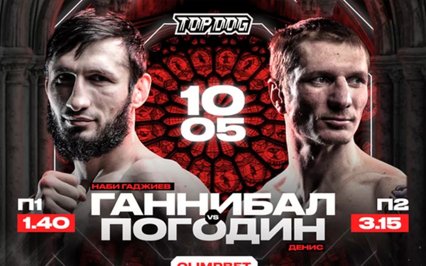 Прямая трансляция Top Dog 36