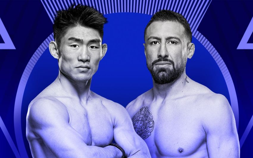 UFC Fight Night 233. Смотреть онлайн прямой эфир