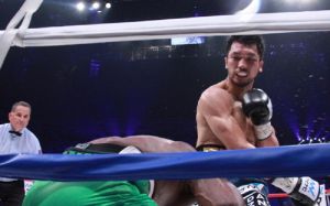 WBA отстранил на 6 месяцев двух судей поединка Риота - Н'Дам