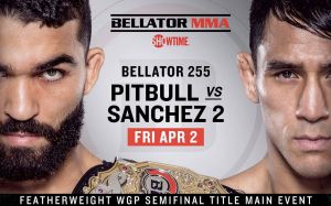 Прямая трансляция Bellator 255
