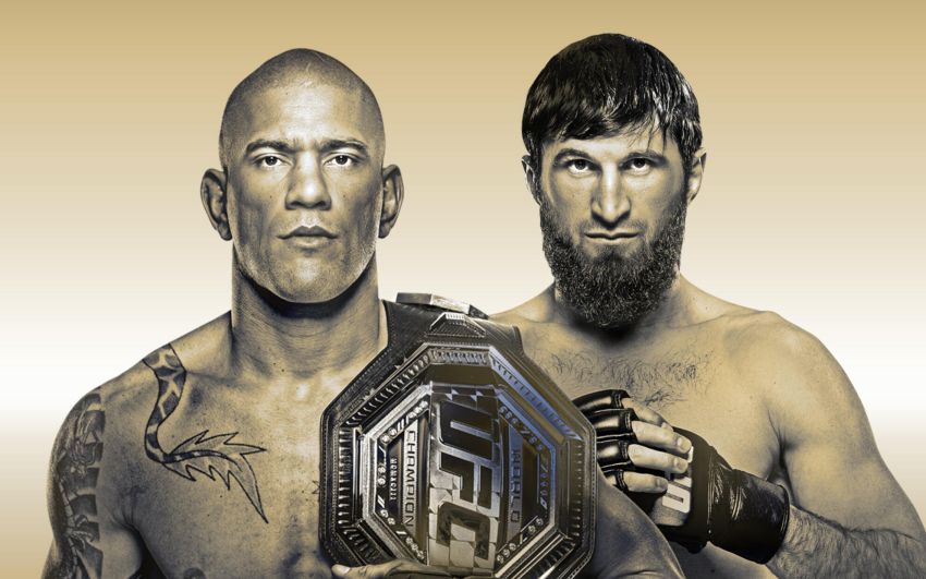 Прямая трансляция UFC 313