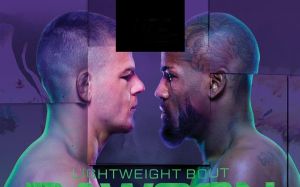 Результаты турнира UFC Fight Night 229