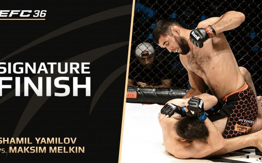 Видео боя Шамиль Ямилов – Максим Мелькин EFC 36
