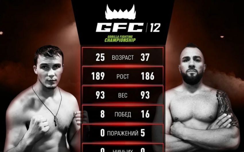 Видео боя Владимир Селиверстов - Дирлей Броенструп GFC 12 