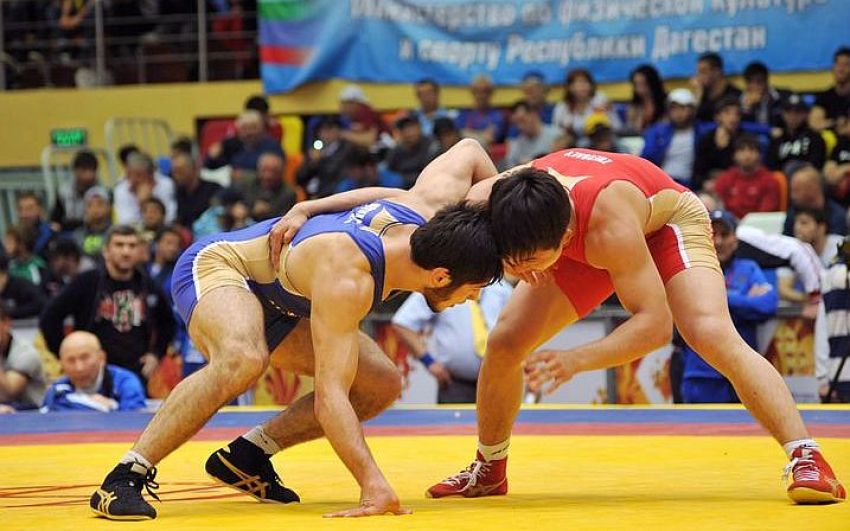 Прямая трансляция чемпионата России по вольной борьбе