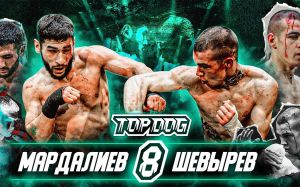 Видео боя Алисафа Мардалиев - Валерий Шевырев TDFC 8