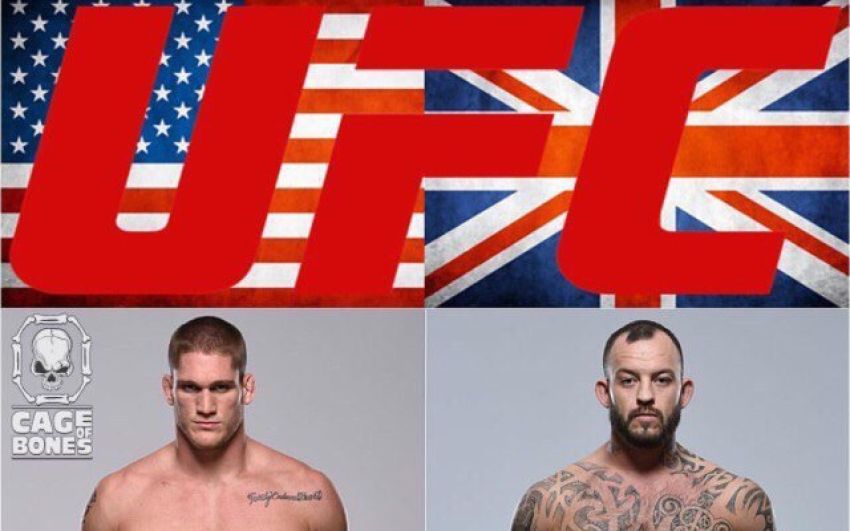 Тодд Даффи - Марк Годбир на UFC 209