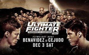 Финальные результаты турнира TUF 24 Finale 