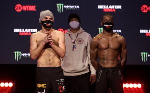 Магомед Магомедов легко победил Си Джея Хэмилтона на Bellator 255