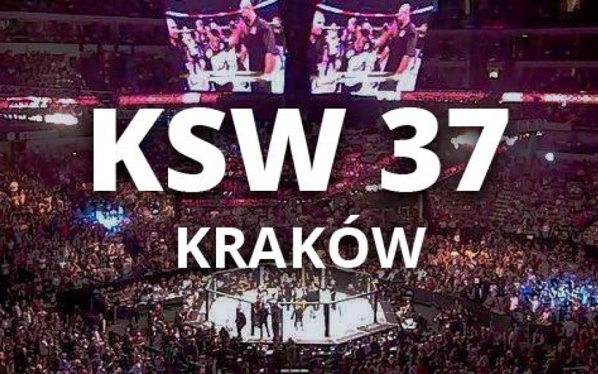 KSW 37 - основные бои