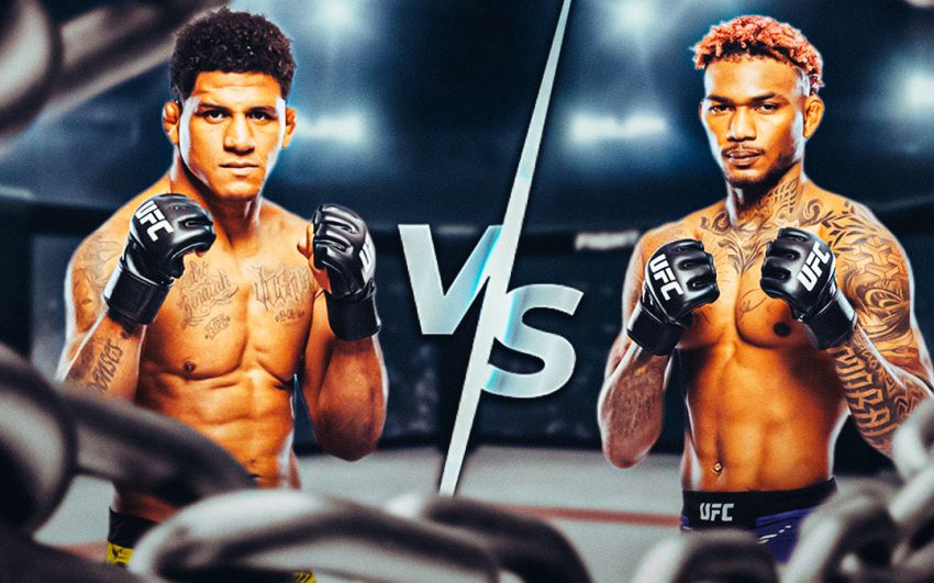 UFC Fight Night 256. Смотреть онлайн прямой эфир