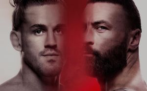 Ставки на UFC Fight Night 232: Коэффициенты на турнир Брендан Аллен - Пол Крэйг