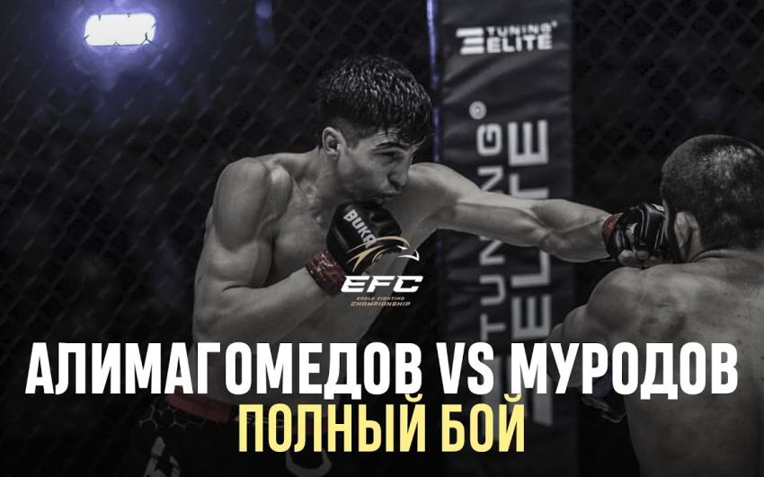 Видео боя Абдурахман Алимагомедов – Самандар Муродов EFC 34