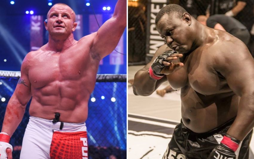 Прямая трансляция KSW 59