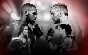 Прямая трансляция UFC 232: Джон Джонс - Александр Густафссон 2