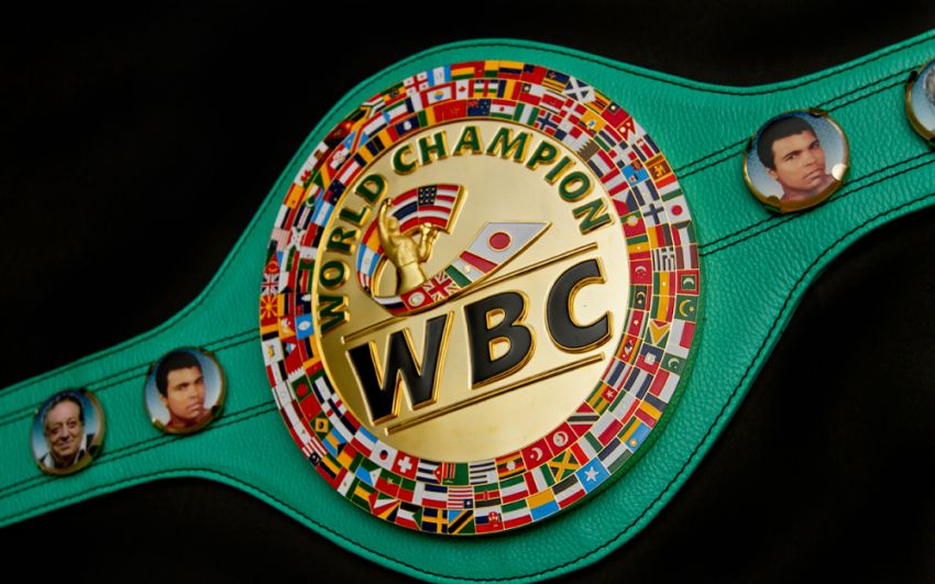 WBC огласили список номинантов на звание лучшего боксёра года