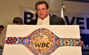 В бою Альварес-Чавес будет разыгран памятный пояс WBC.