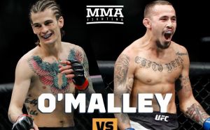 Шон О'Мэлли встретится с Марлоном Верой на UFC 239