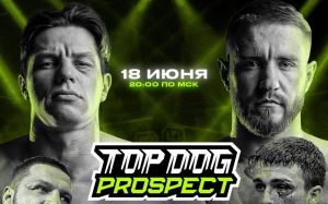 Прямая трансляция Top Dog Prospect 5