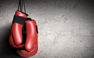 BoxRec 3.0: Формула