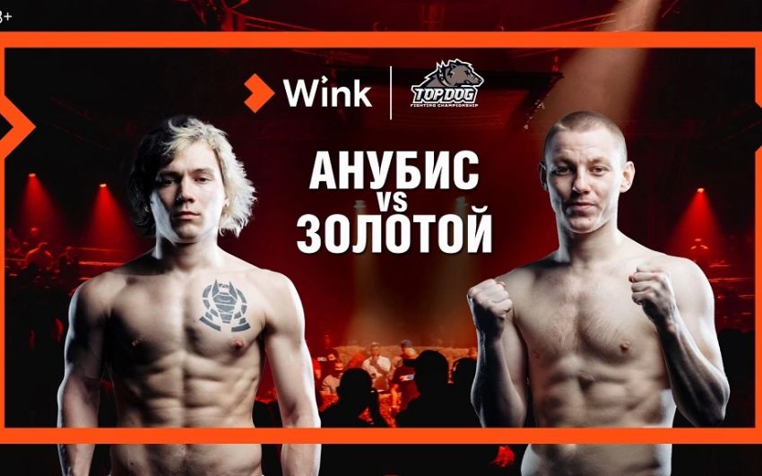 Прямая трансляция Top Dog FC 8
