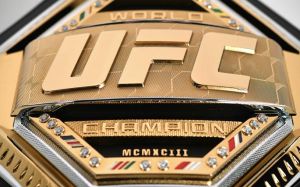 Рейтинг бойцов UFC за февраль 2019 года